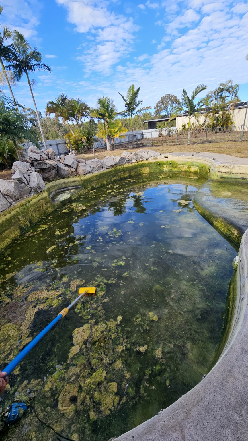 Empty pool after pressure cleaning